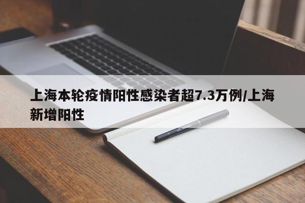上海本轮疫情阳性感染者超7.3万例/上海新增阳性