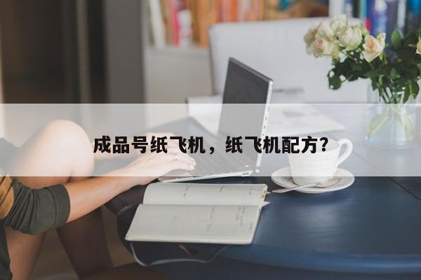 成品号纸飞机,纸飞机配方?