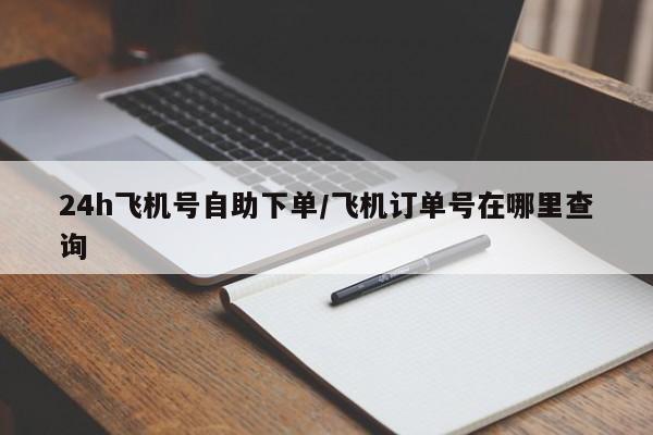 24h飞机号自助下单/飞机订单号在哪里查询