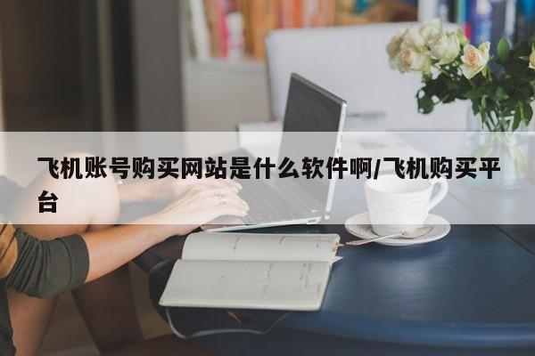飞机账号购买网站是什么软件啊/飞机购买平台