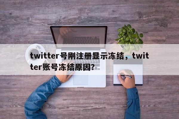 twitter号刚注册显示冻结，twitter账号冻结原因？