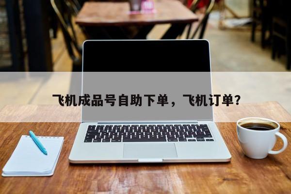 飞机成品号自助下单,飞机订单?