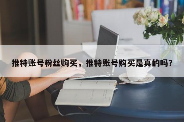 推特账号粉丝购买，推特账号购买是真的吗？