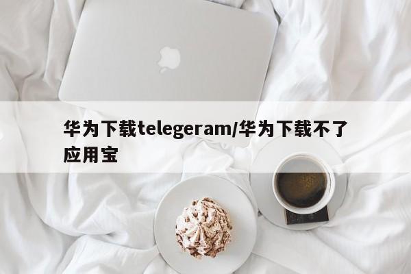 华为下载telegeram/华为下载不了应用宝