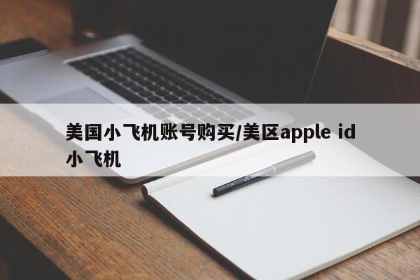 美国小飞机账号购买/美区apple id小飞机