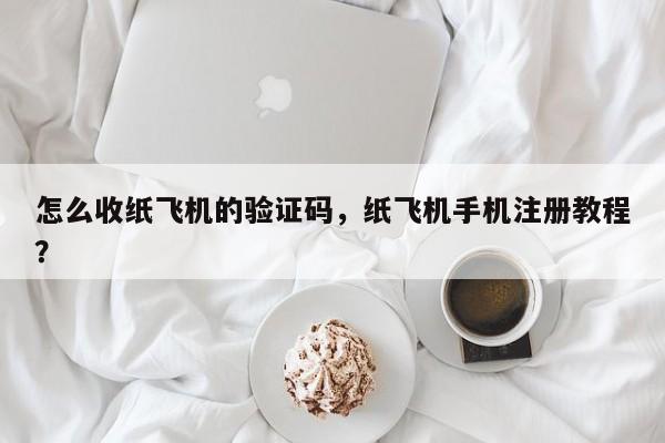 怎么收纸飞机的验证码,纸飞机手机注册教程?