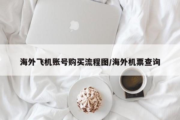 海外飞机账号购买流程图/海外机票查询