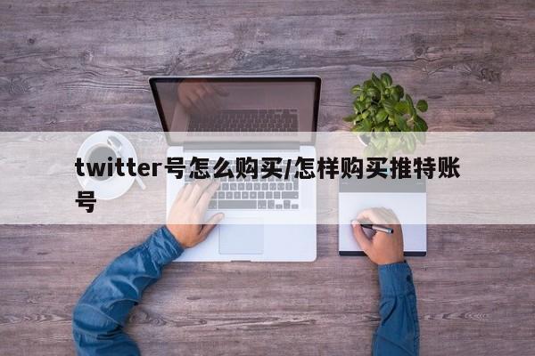 twitter号怎么购买/怎样购买推特账号