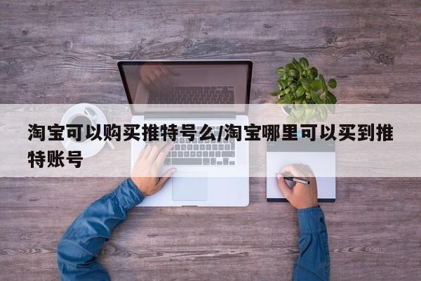 淘宝可以购买推特号么/淘宝哪里可以买到推特账号