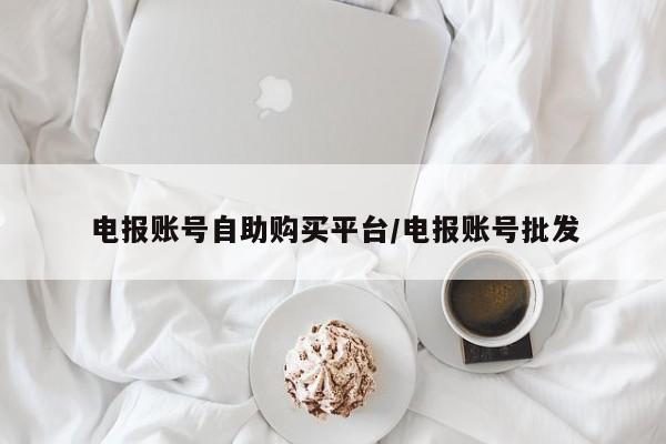 电报账号自助购买平台/电报账号批发