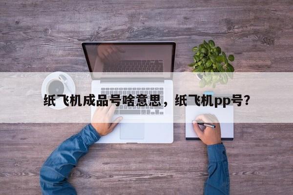 纸飞机成品号啥意思，纸飞机pp号？