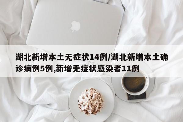 湖北新增本土无症状14例/湖北新增本土确诊病例5例,新增无症状感染者11例