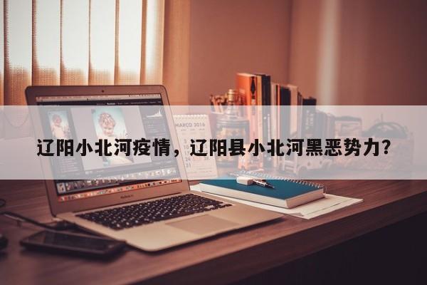 辽阳小北河疫情，辽阳县小北河黑恶势力？